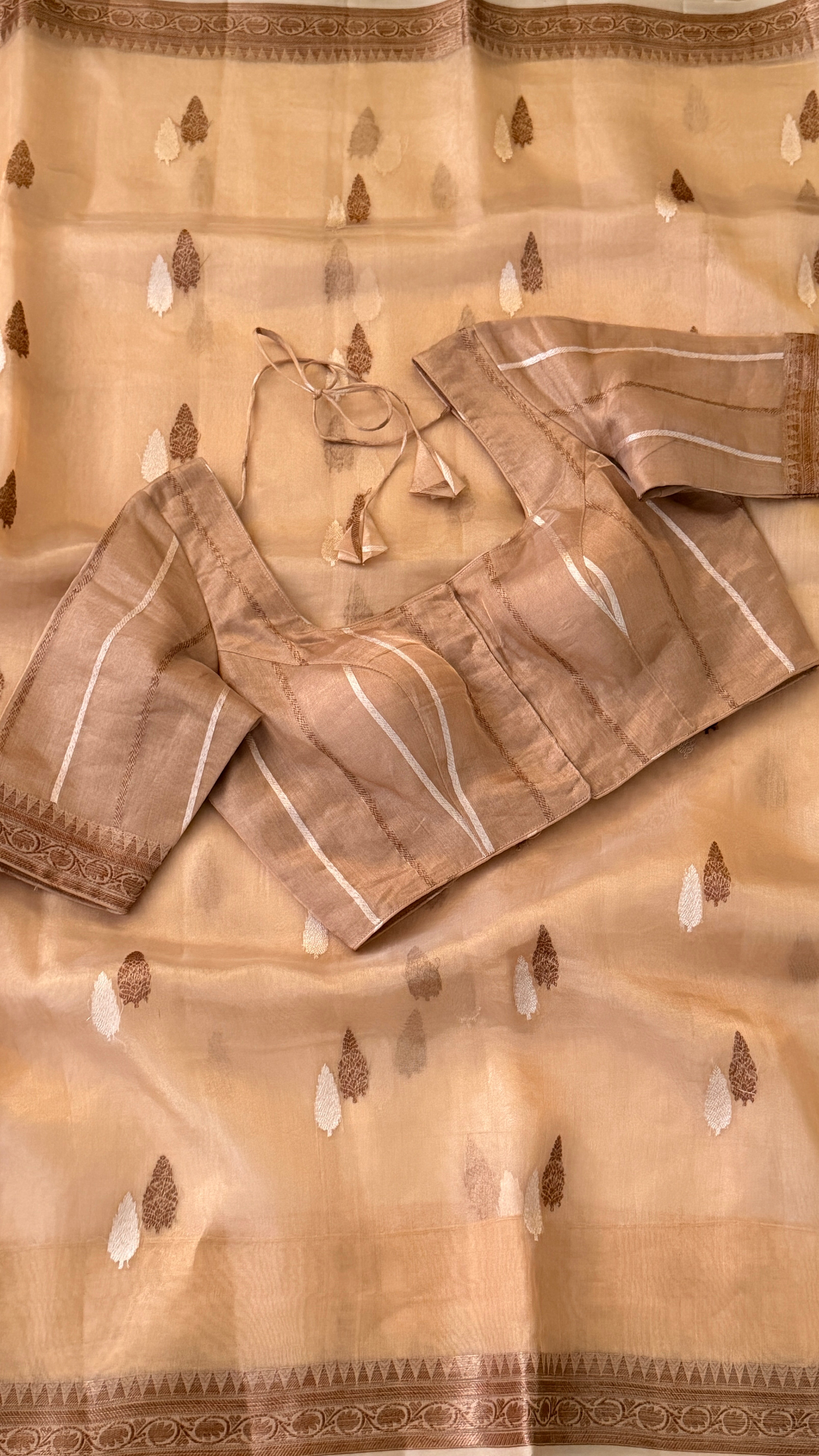 Beige Tissue Kora Saree