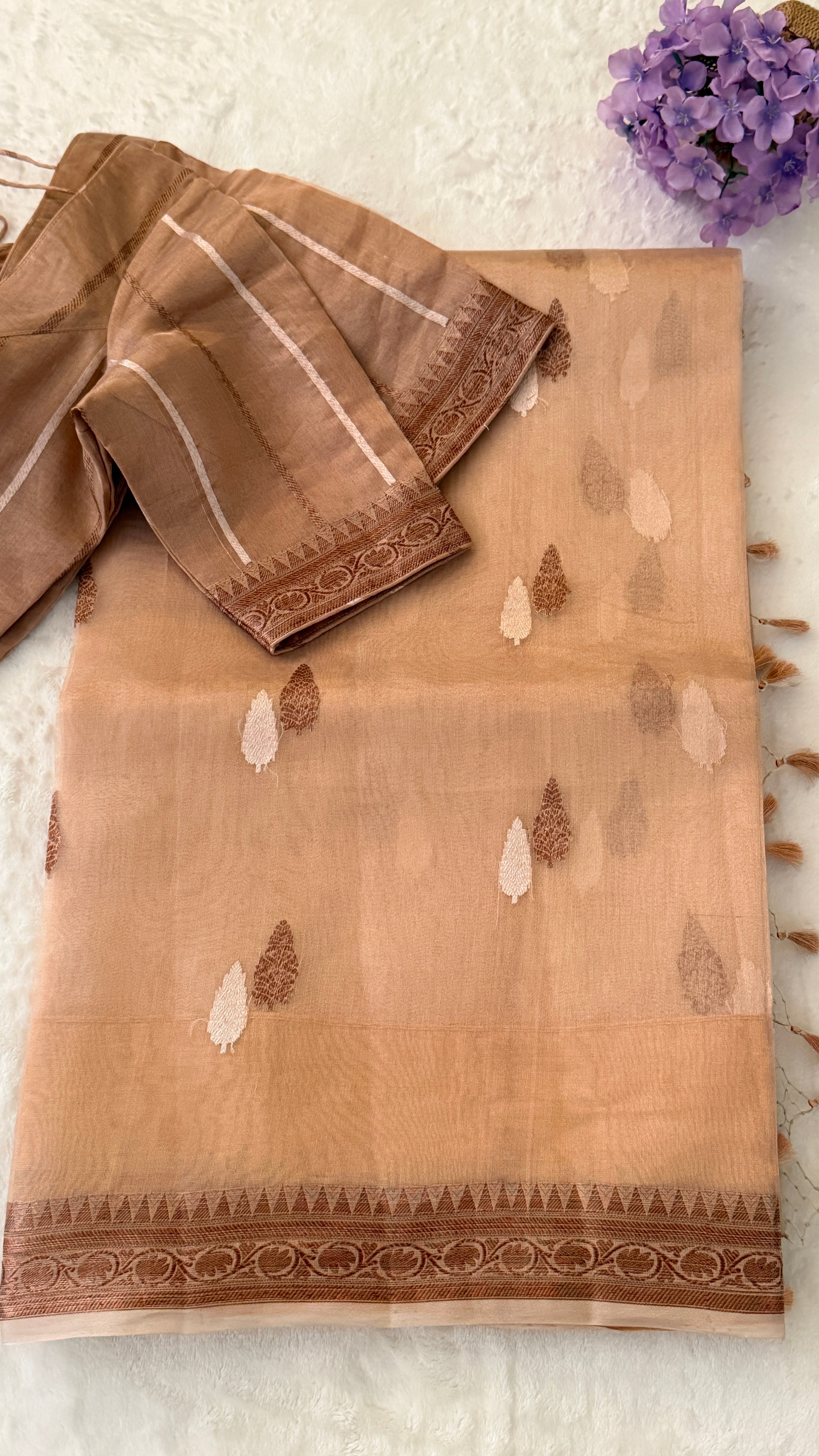 Beige Tissue Kora Saree