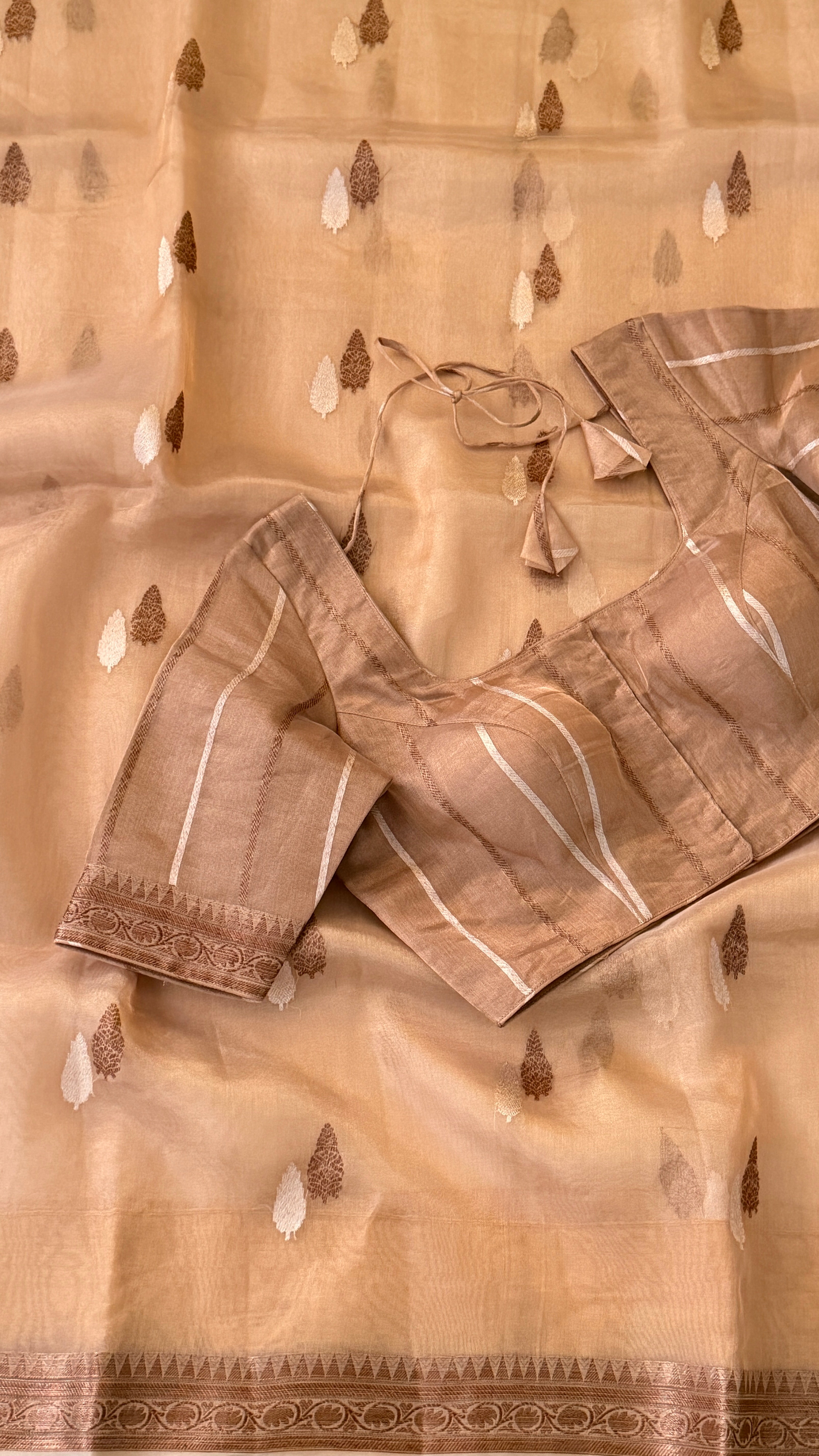 Beige Tissue Kora Saree