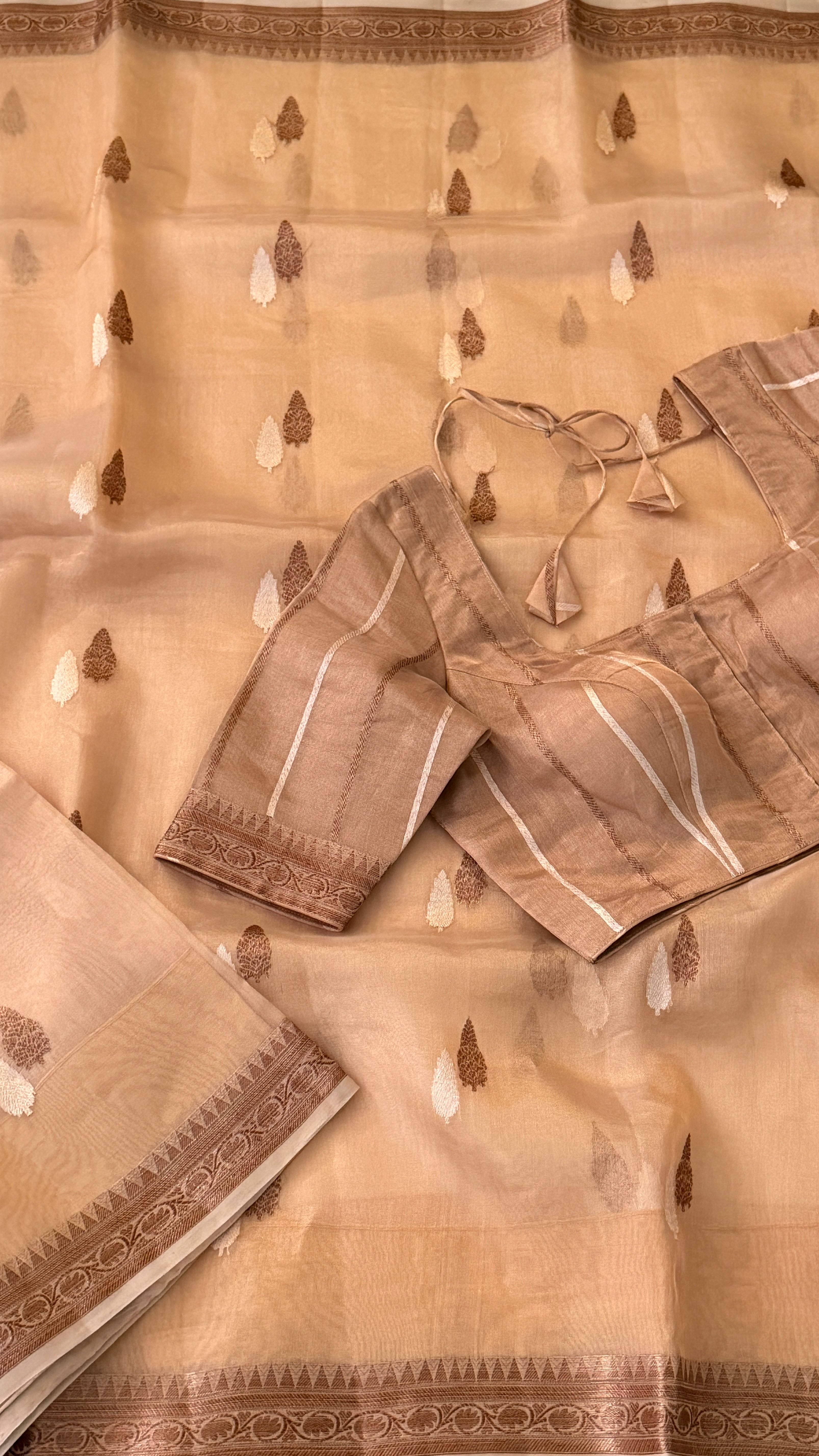 Beige Tissue Kora Saree