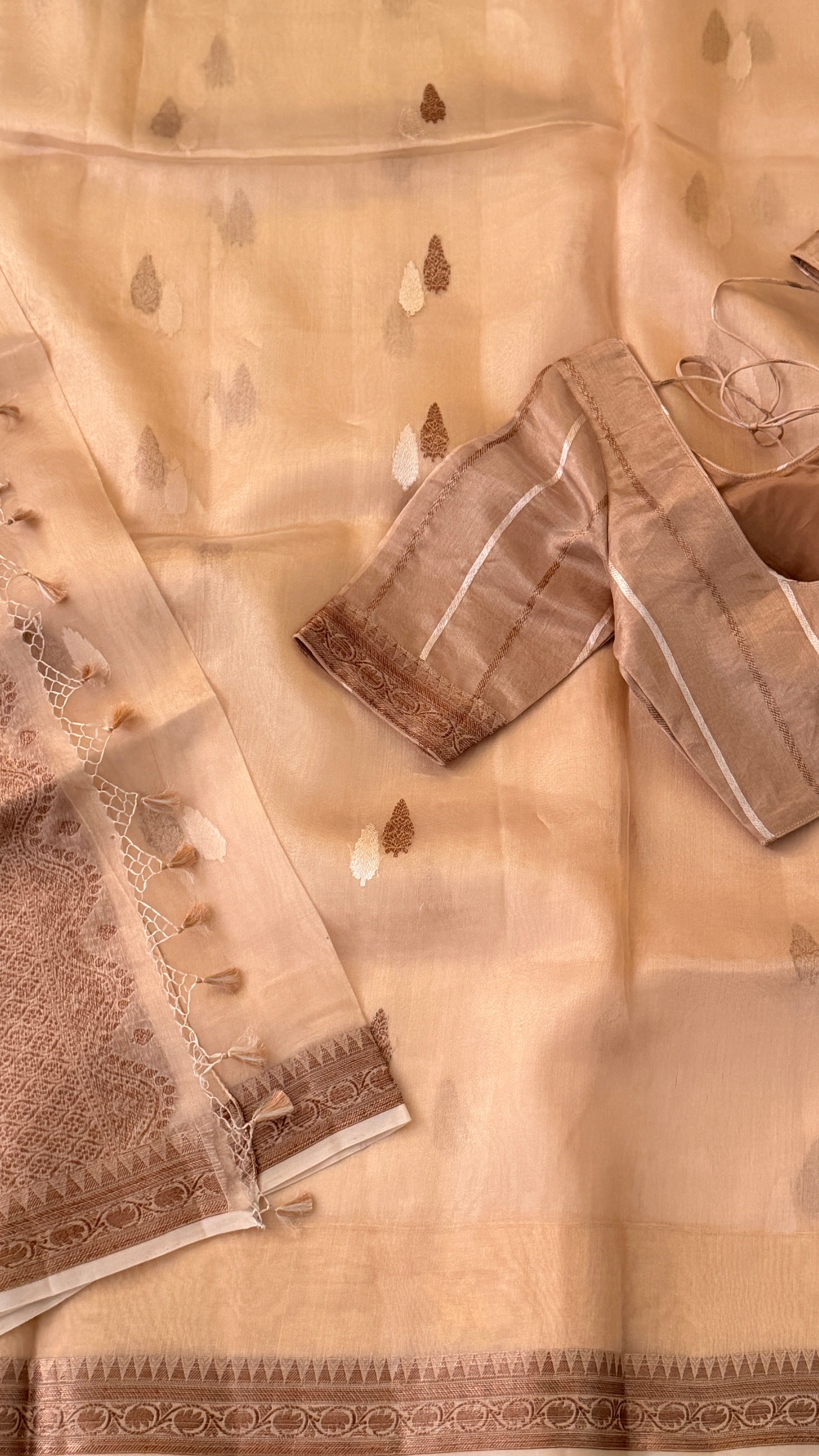 Beige Tissue Kora Saree