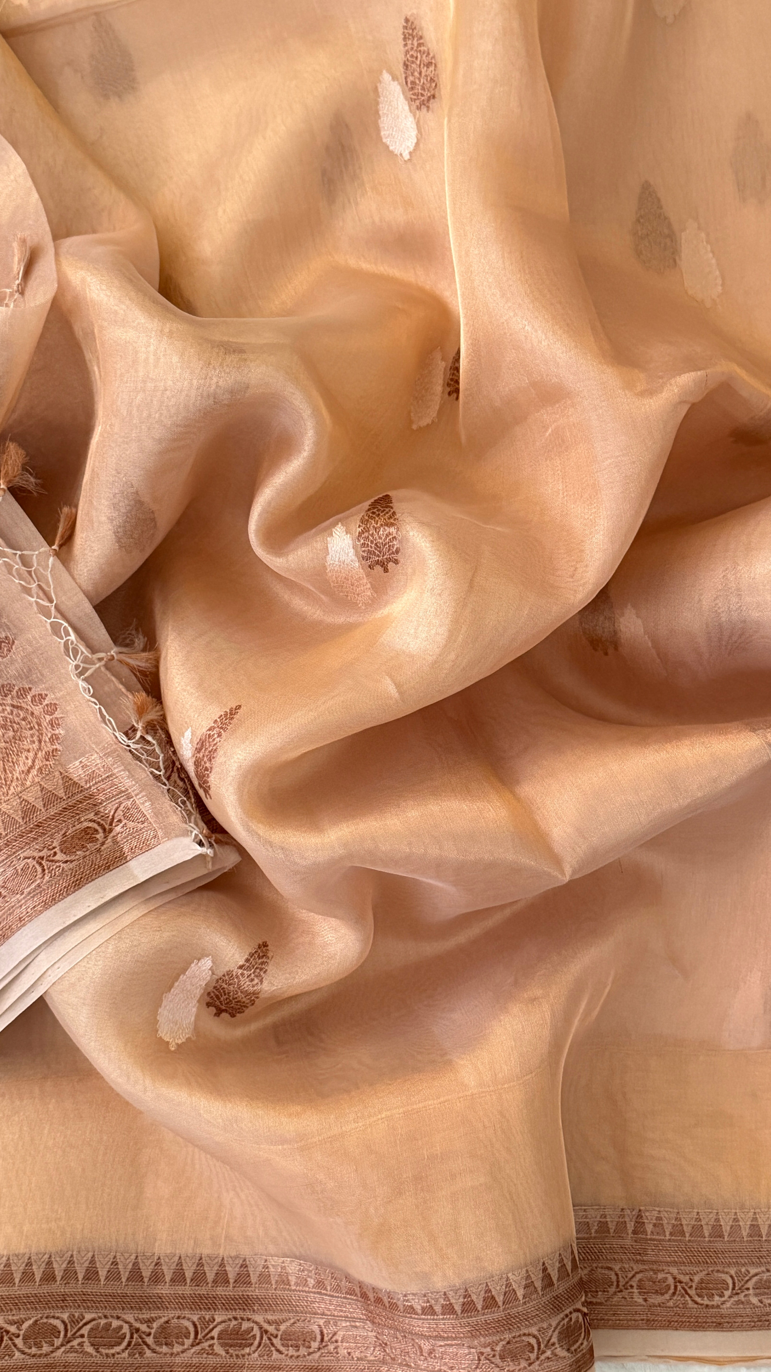 Beige Tissue Kora Saree