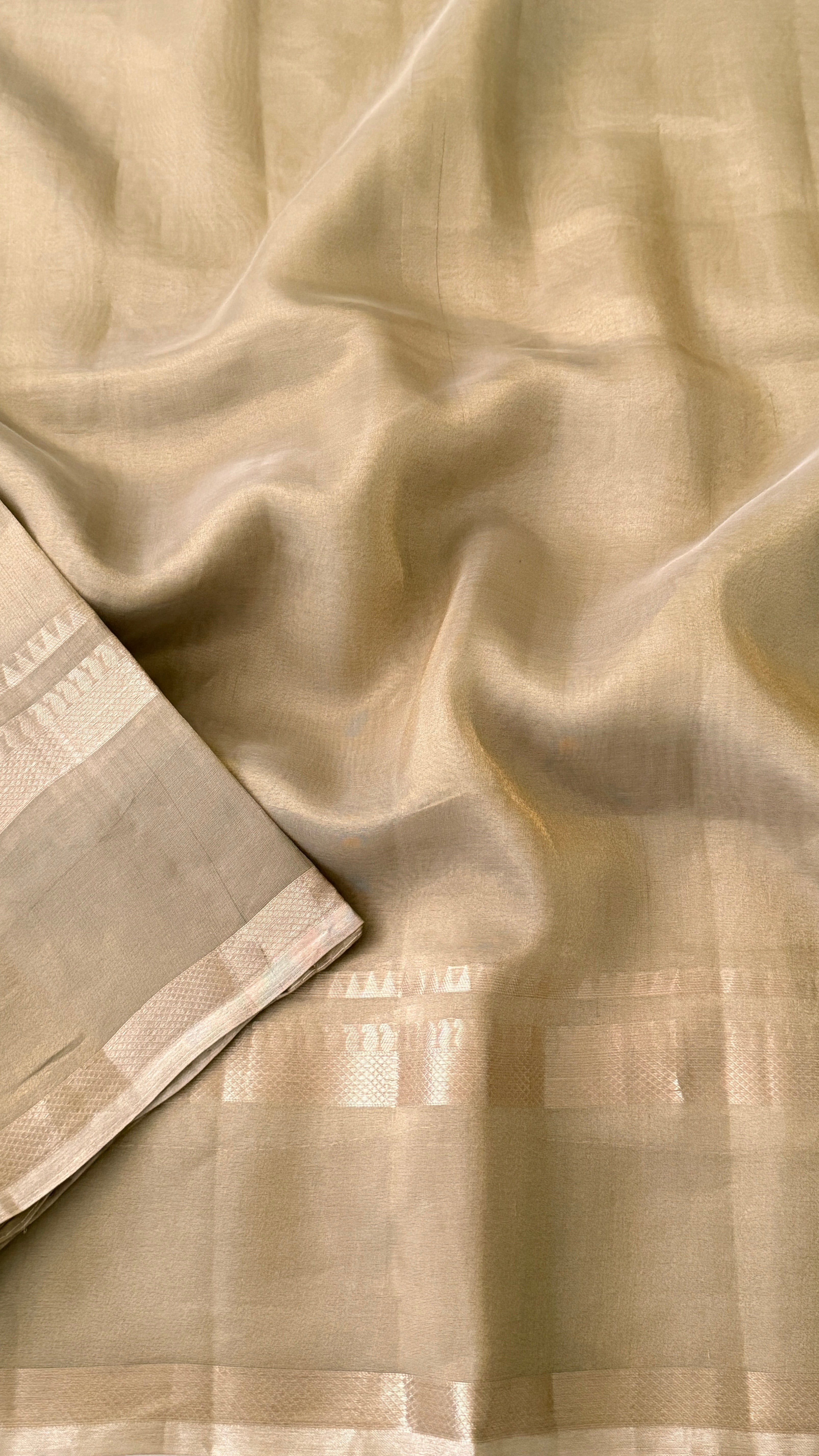 Grey Beige Tissue Silk Saree