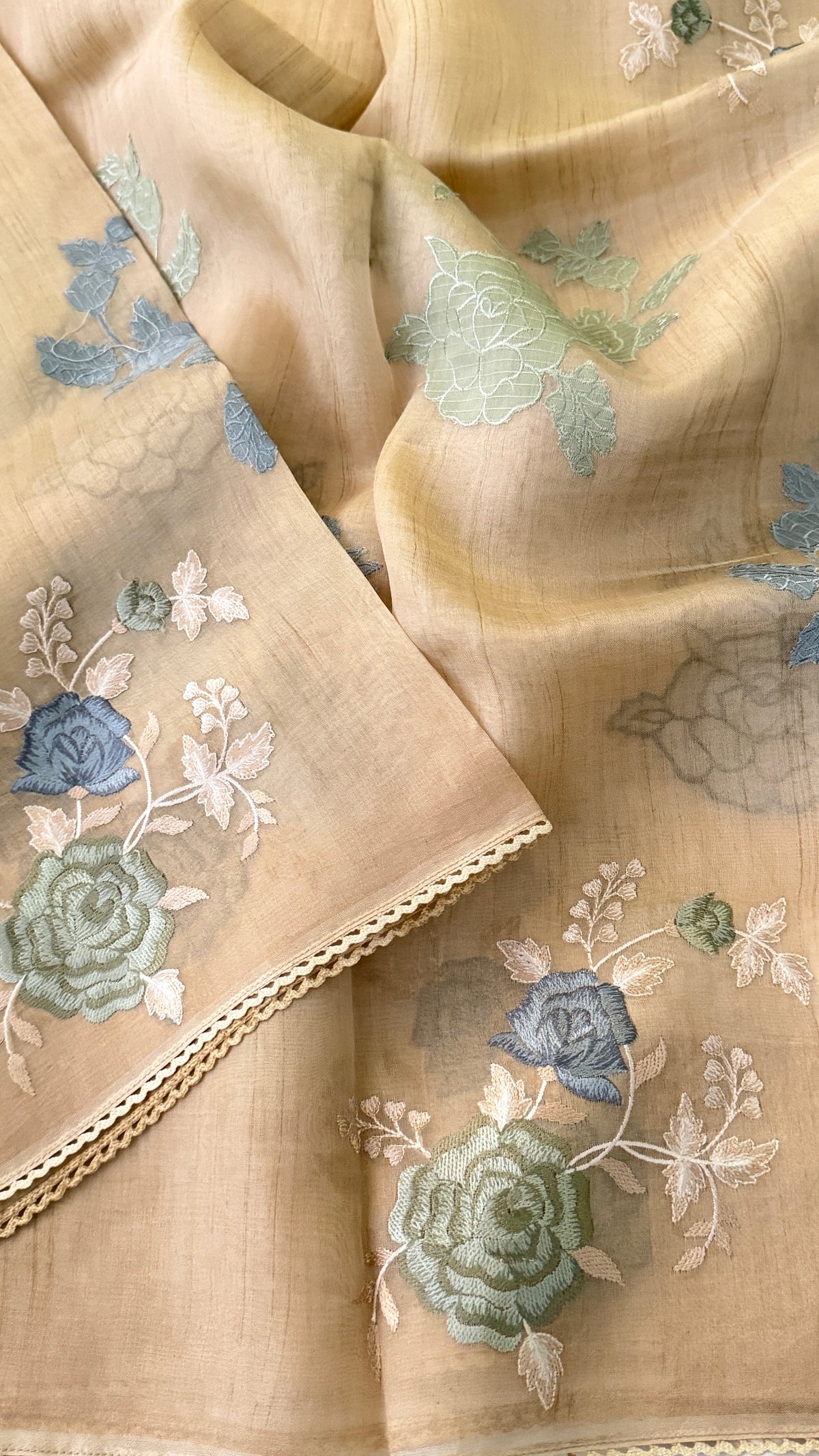Beige Organza Silk Saree