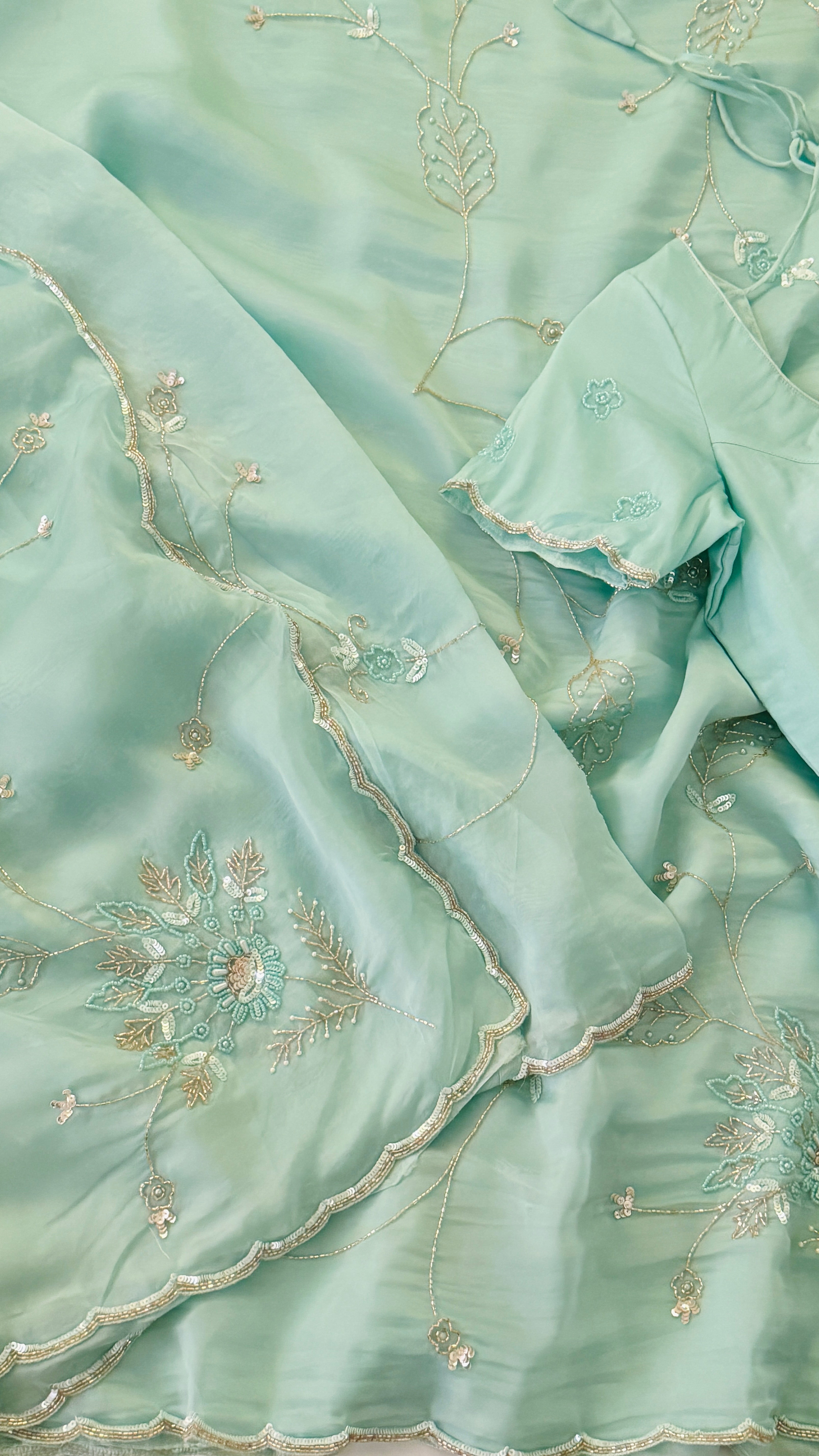 Light Blue Glass Organza Fancy Saree